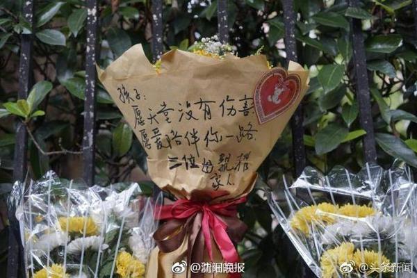 火箭休赛期引进杜兰特DFS卡佩拉奥科吉 送走风雪哥狄龙白魔兰代尔